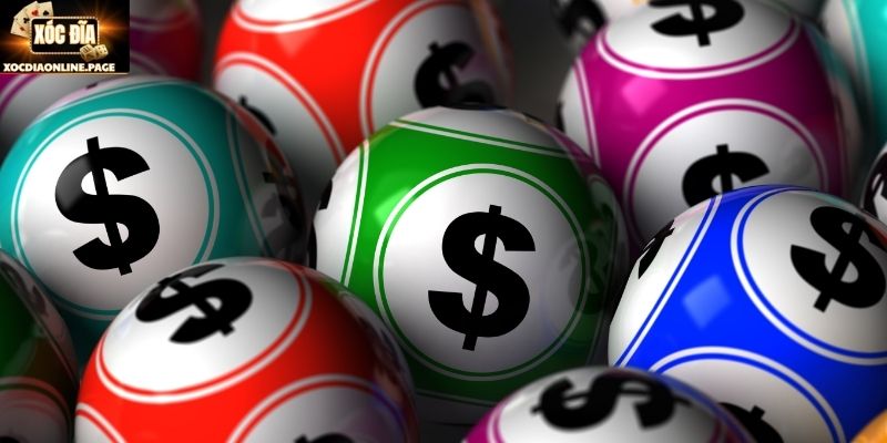 Các hình thức nuôi lô được áp dụng nhiều nhất hiện nay