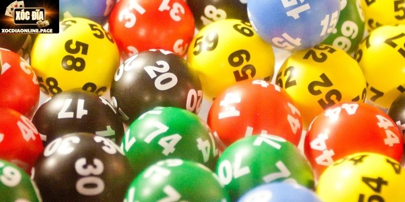 Các yếu tố cần lưu tâm khi thực hiện cách nuôi lô