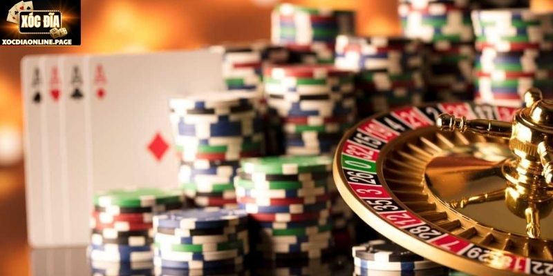 Cùng khám phá tổng quan về chúng tôi