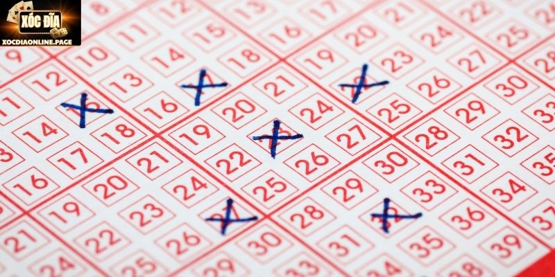 Khái quát giới thiệu về nuôi lô đề