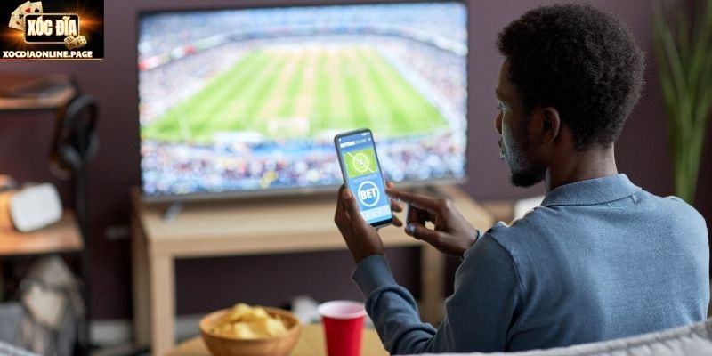 Kiến thức nền tảng thuật ngữ cá độ bóng đá