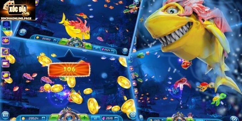 Kinh nghiệm săn cá Zui giúp cải thiện hiệu suất