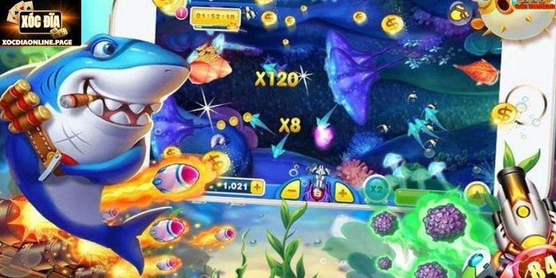 Lựa chọn mục tiêu và thời điểm chuẩn xác