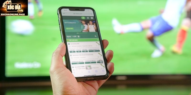 Nắm bắt điểm mấu chốt trước khi đặt cược