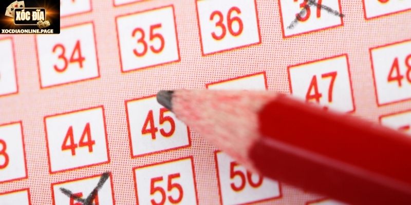 Những lợi ích khi áp dụng đúng cách nuôi lô