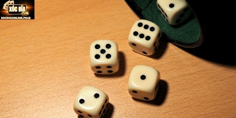 Quan sát quy luật trong từng lượt xóc