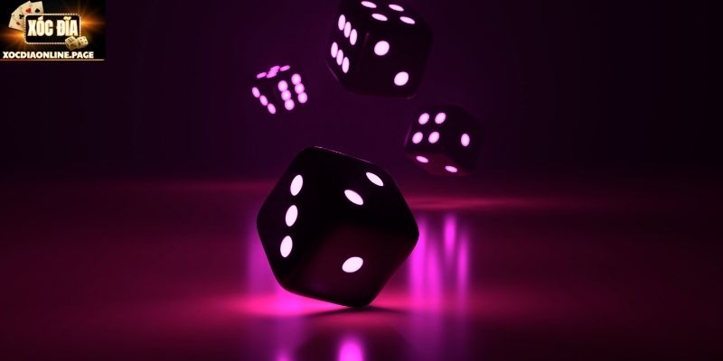 Quy trình cơ bản của trò xóc đĩa hiện đại