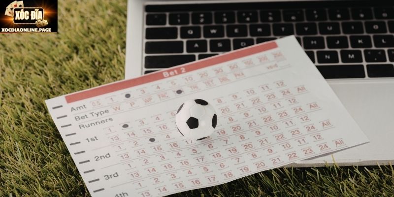 Thông tin thị trường hỗ trợ quyết định cược