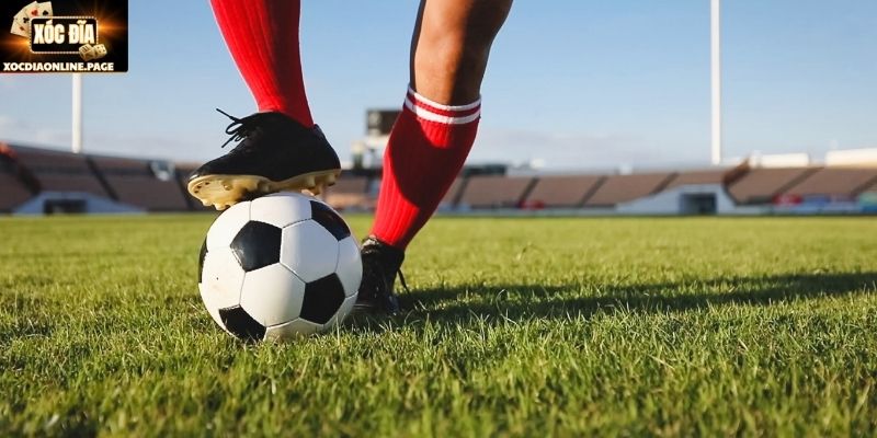 thuat ngu ca do bong da