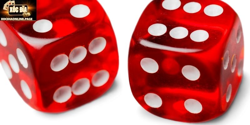 Tổng quan nguyên tắc cơ bản luật chơi xóc đĩa